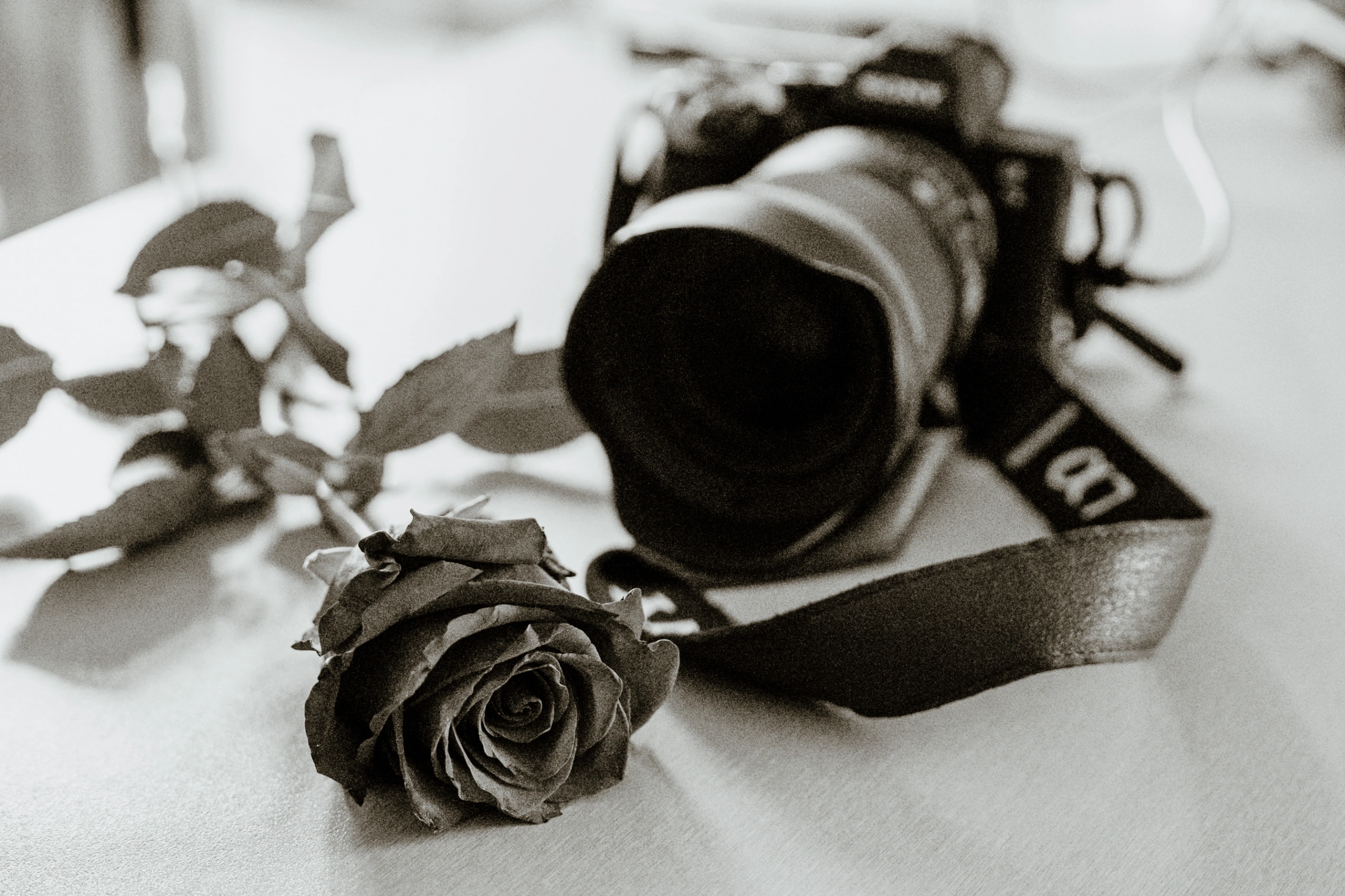 Slubne wspomnienia Zuzanny i Dominika - detail