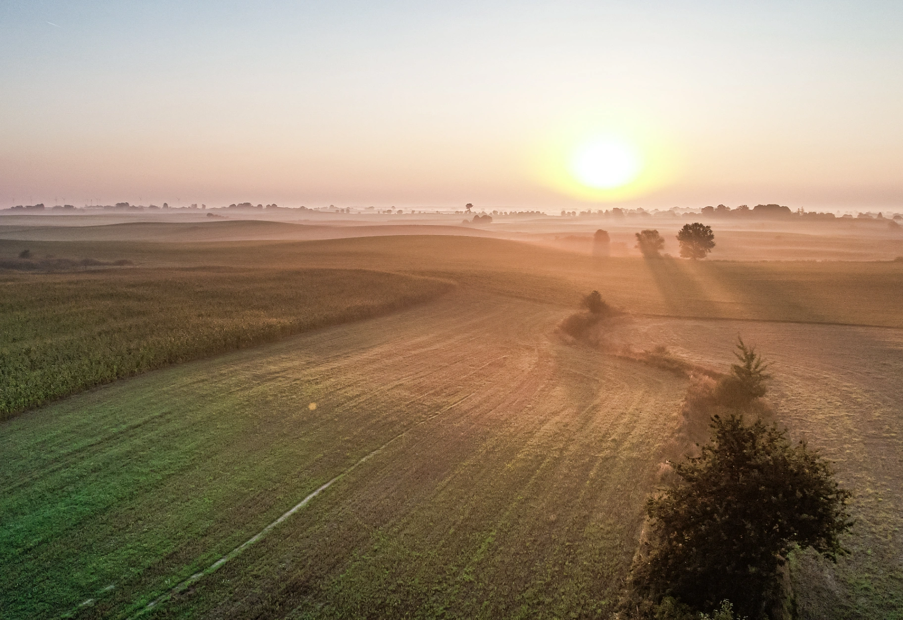 Wschód słońca nad polami i pasmami porannej mgły